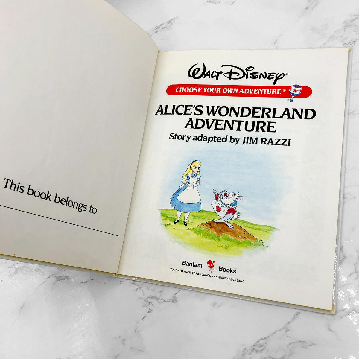 alice-s-wonderland-adventure-disney-choose-your-own-adventure