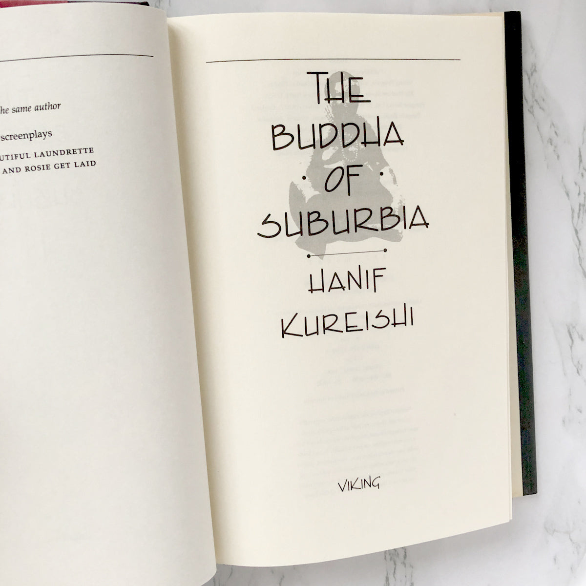 the buddha of suburbia book