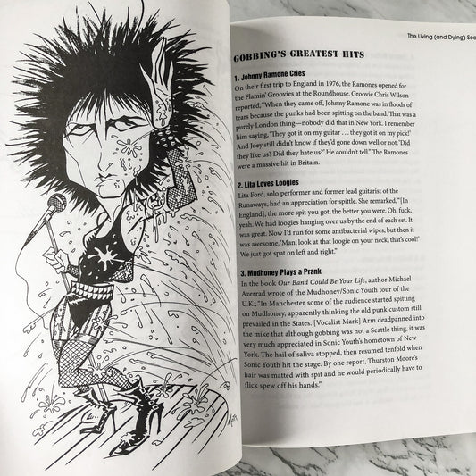 The Official Punk Rock Book of Lists by Amy Wallace & Handsome Dick Manitoba - Bookshop Apocalypse