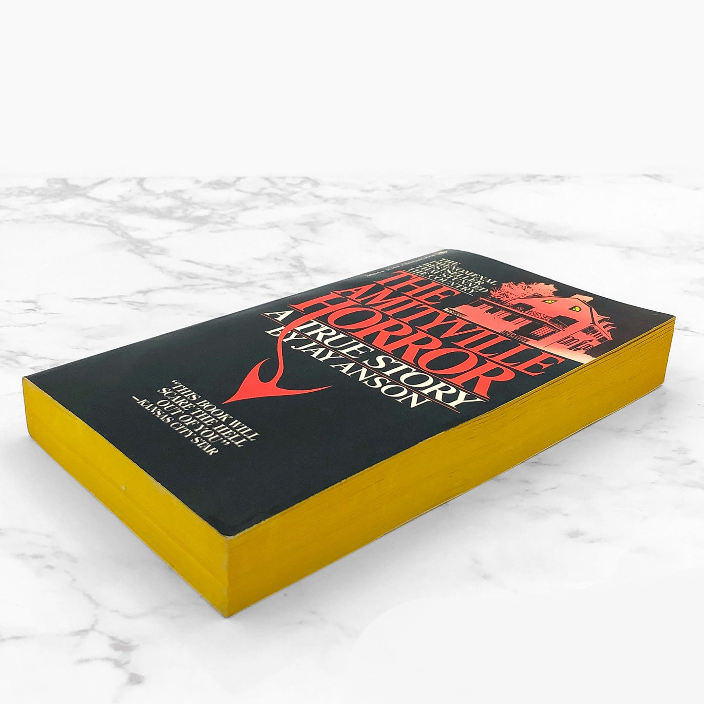 The Amityville Horror by Jay Anson [FIRST PAPERBACK EDITION] + News Clipping! • 1978 • Bantam