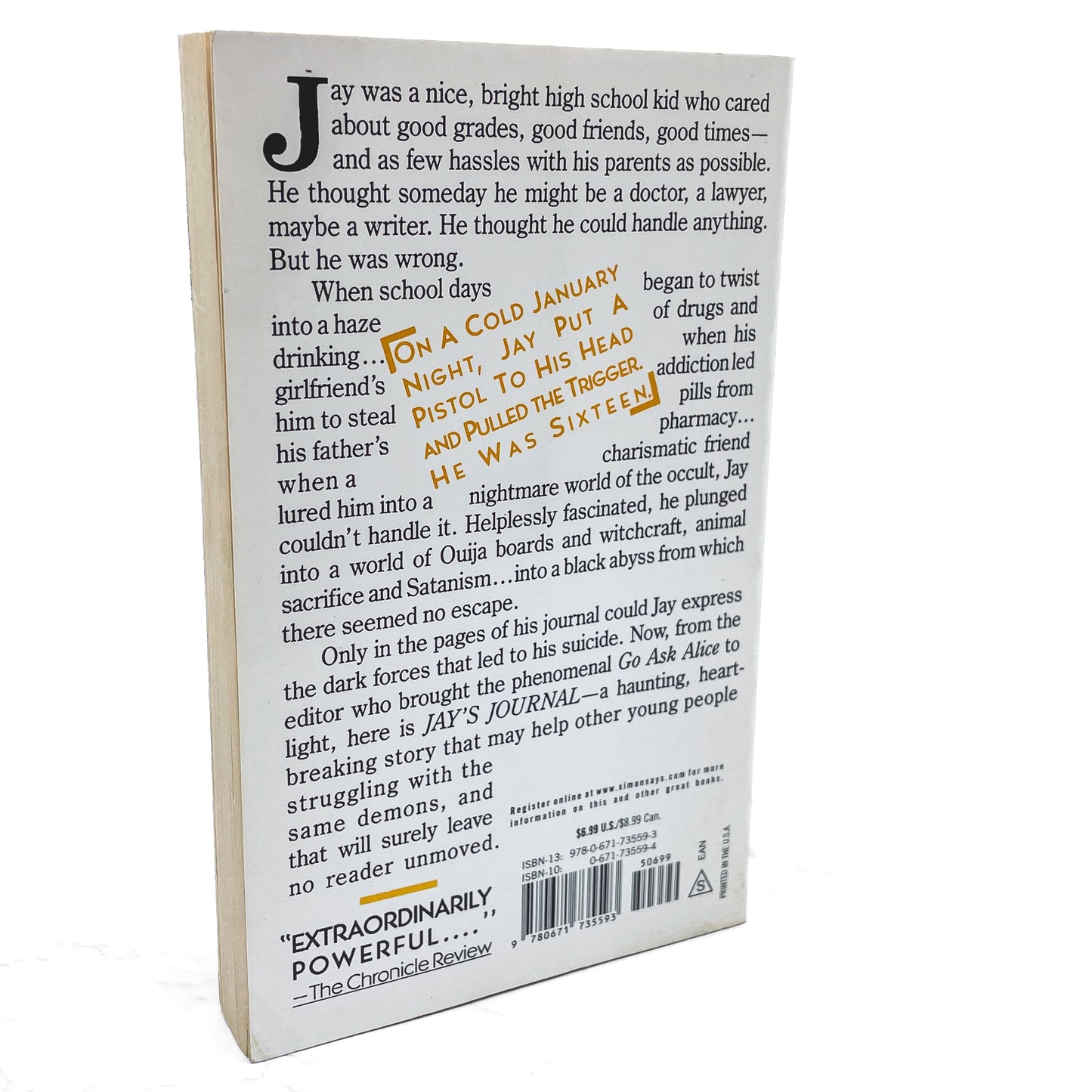 Jay's Journal by Anonymous "edited by" Beatrice Sparks [1989 PAPERBACK] • Pocket