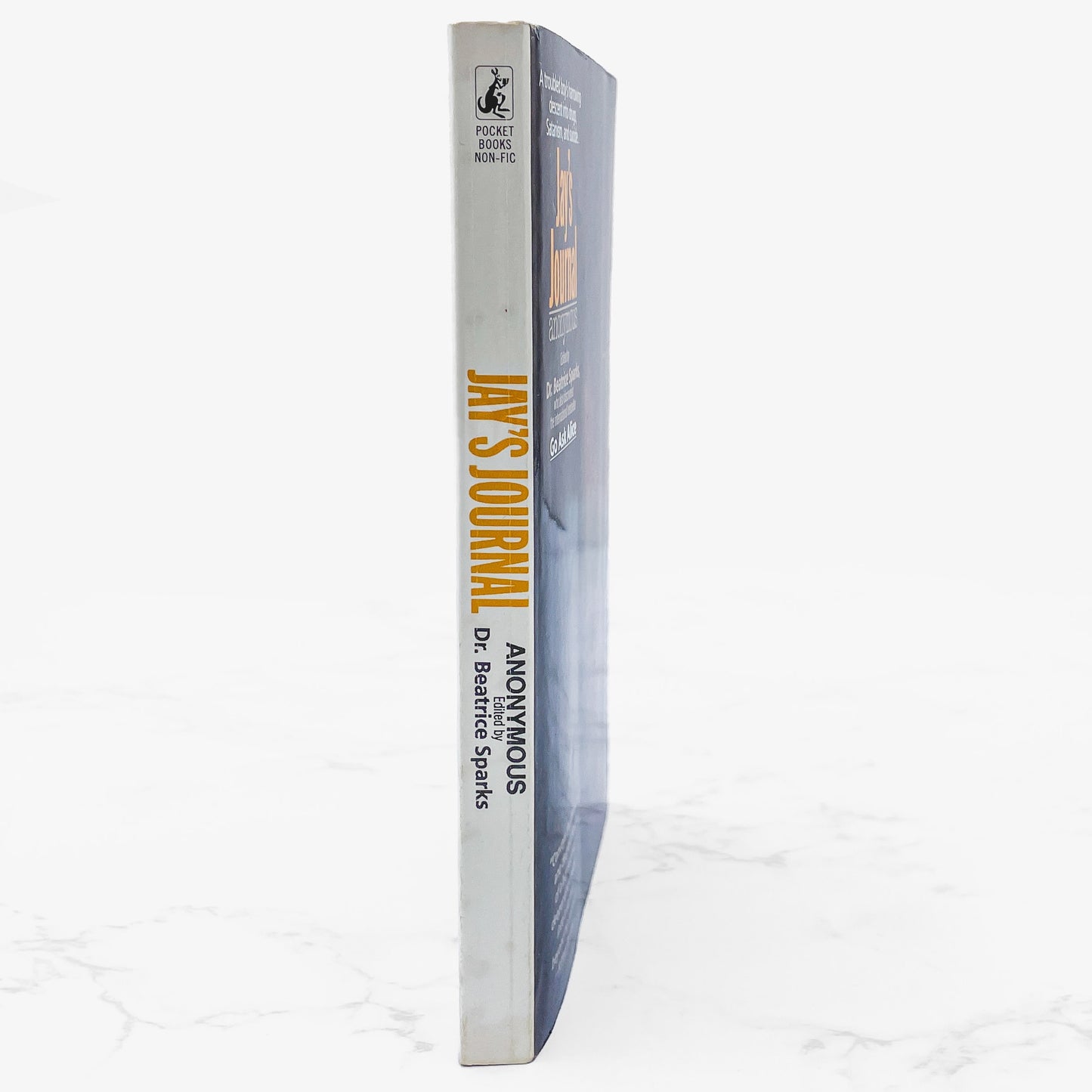 Jay's Journal by Anonymous "edited by" Beatrice Sparks [1989 PAPERBACK] • Pocket