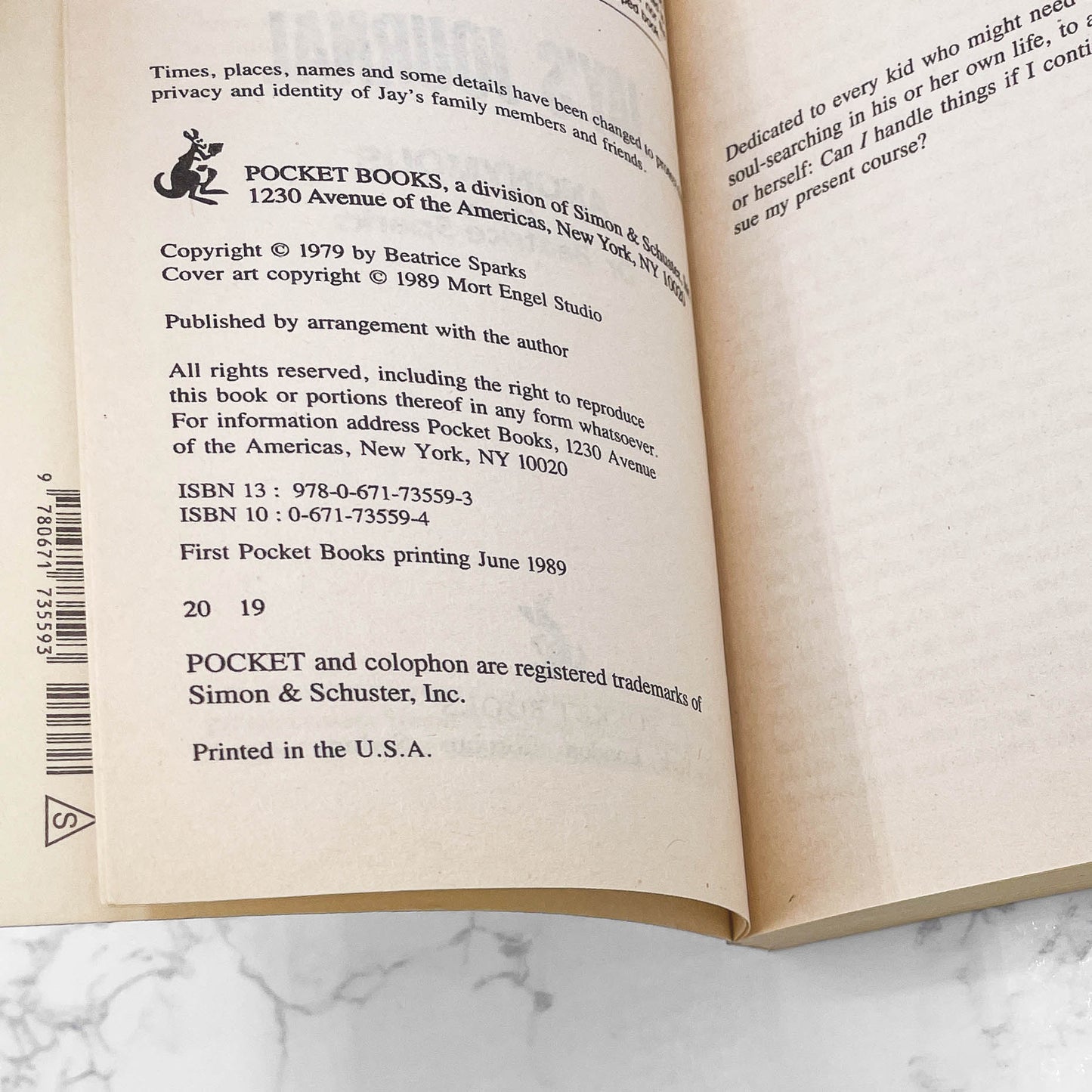 Jay's Journal by Anonymous "edited by" Beatrice Sparks [1989 PAPERBACK] • Pocket