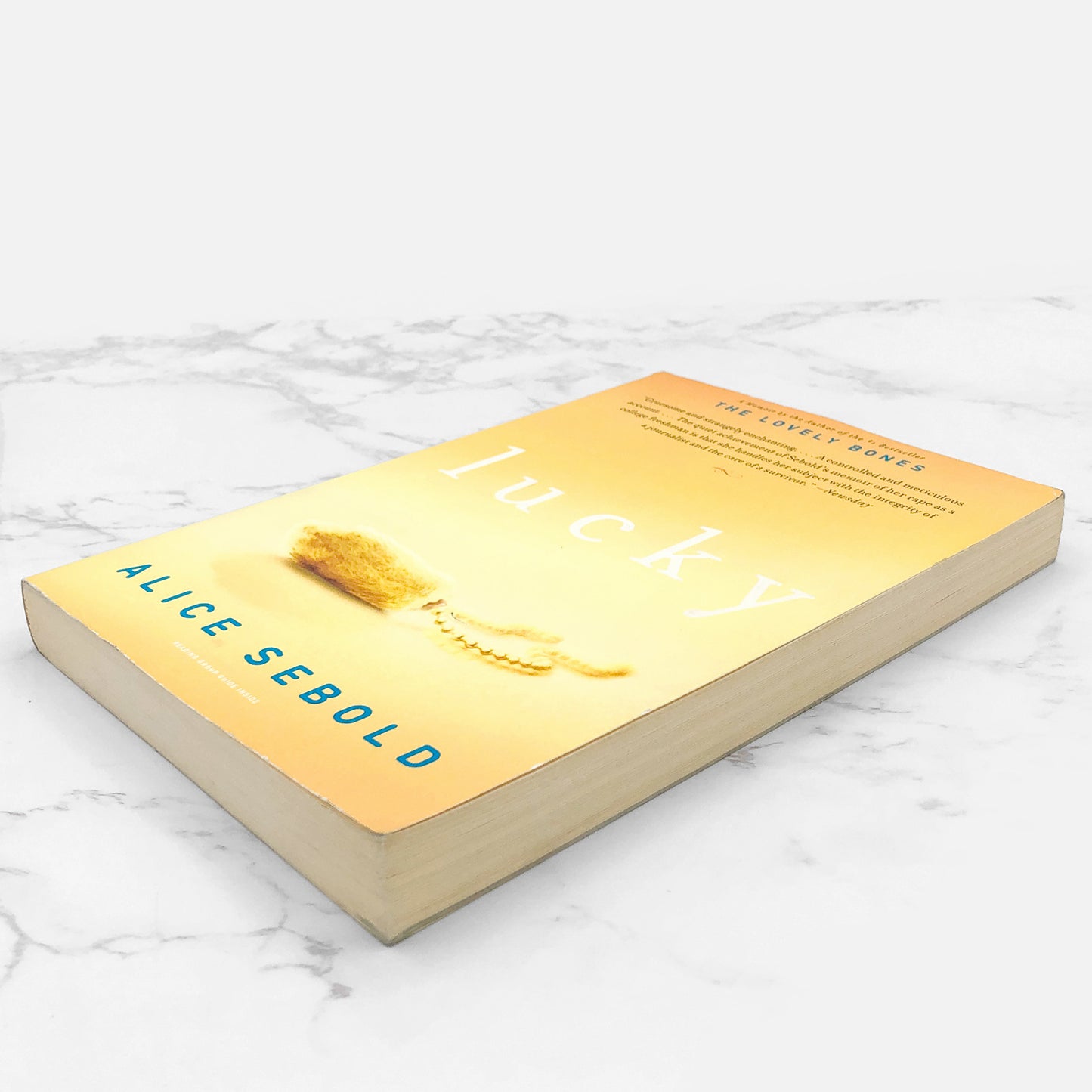 Lucky by Alice Sebold [FIRST PAPERBACK EDITION] 2002 • Back Bay Books