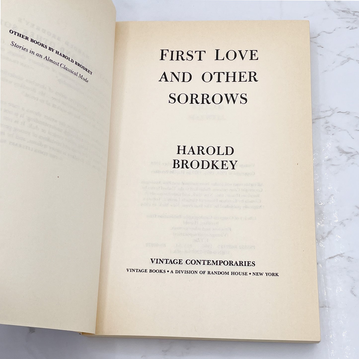 First Love and Other Sorrows by Harold Brodkey [TRADE PAPERBACK] 1988 • Vintage Contemporaries