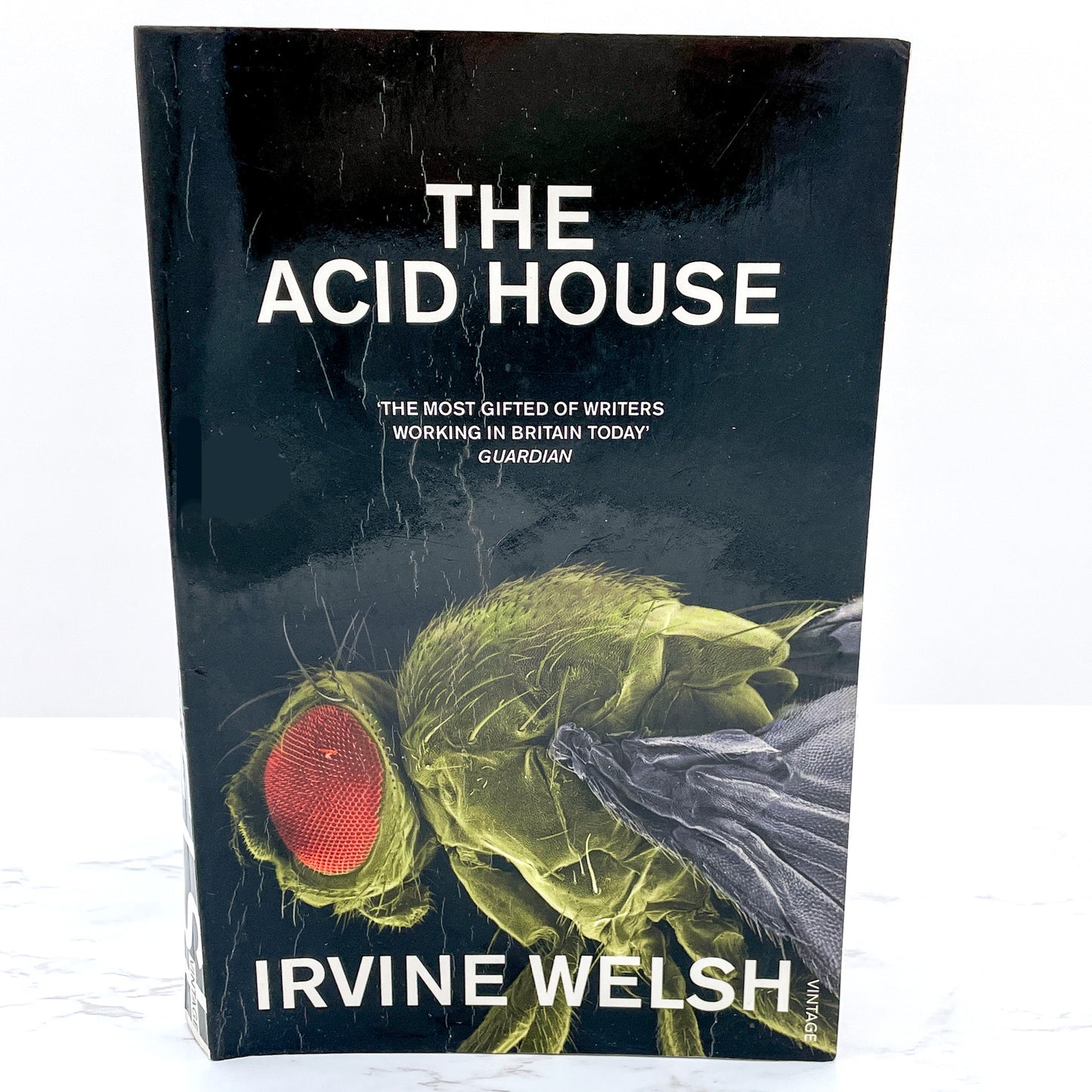 The Acid House by Irvine Welsh [U.K TRADE PAPERBACK RE-ISSUE] 2009 • Vintage Books