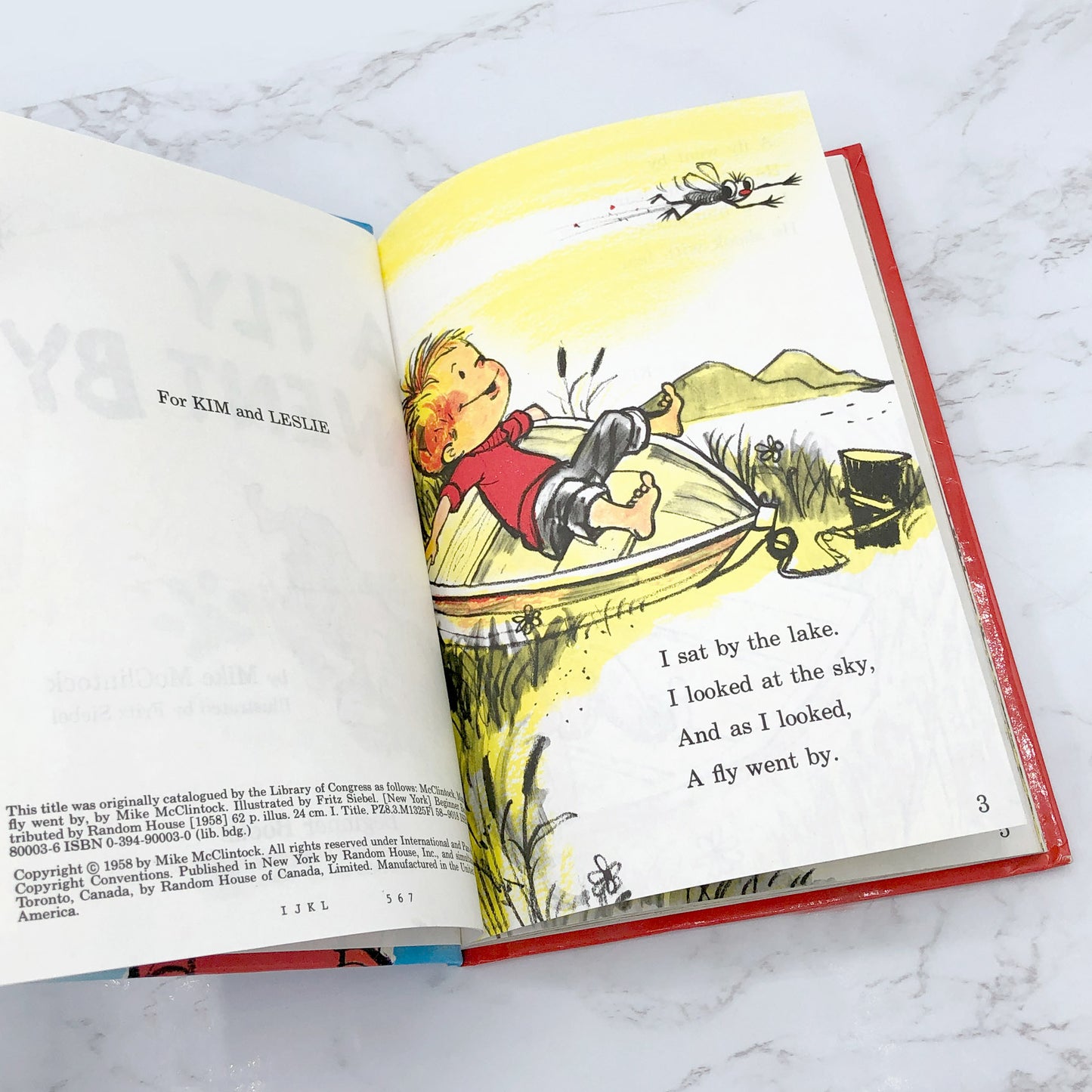 A Fly Went By by Mike McClintock & Fritz Siebel [VINTAGE HARDCOVER] BCE • Beginner Books