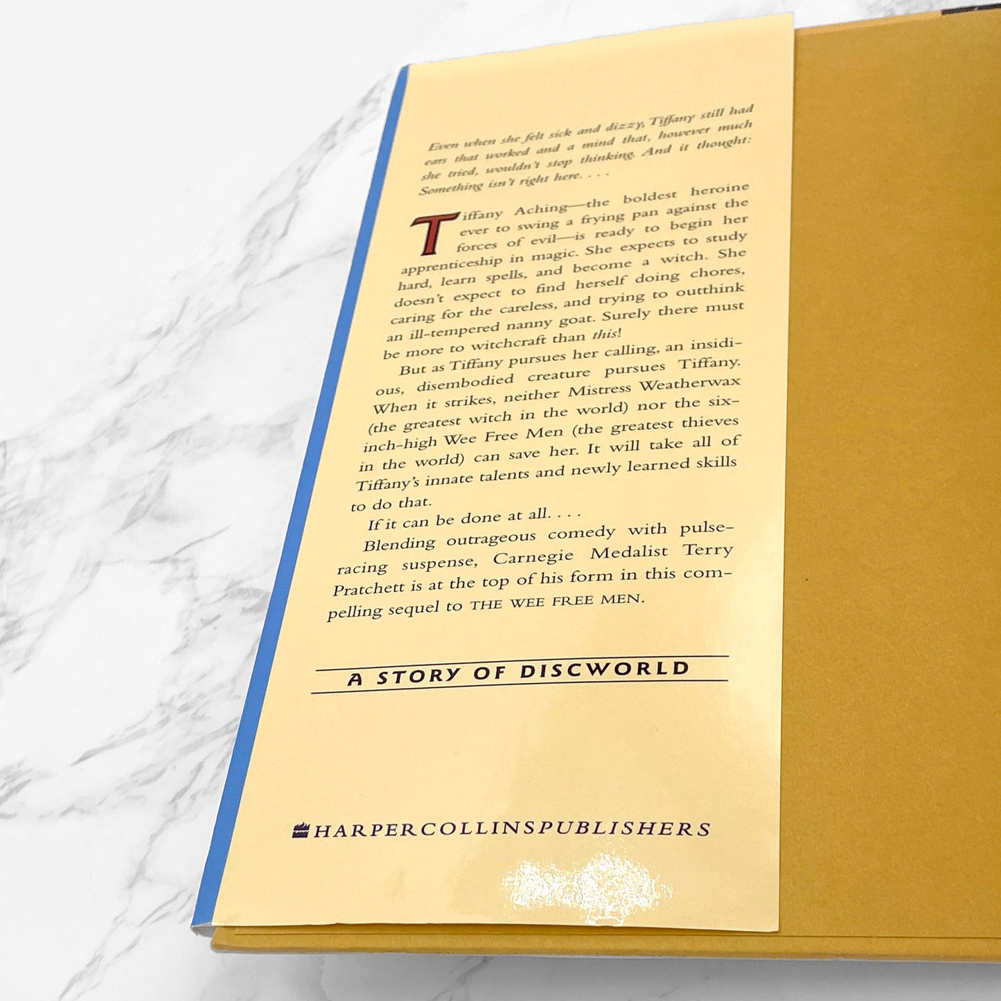 A Hat Full of Sky by Terry Pratchett [FIRST EDITION] 2004 • Discworld #32