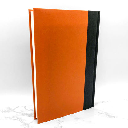 The Amazing Maurice & His Educated Rodents by Terry Pratchett [FIRST EDITION] 2001 • Discworld #28