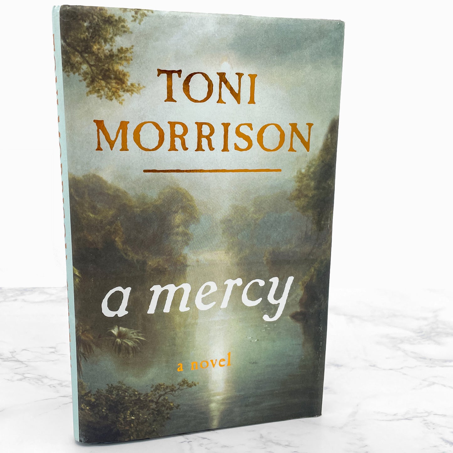 A Mercy by Toni Morrison [FIRST EDITION] 2008 • Knopf
