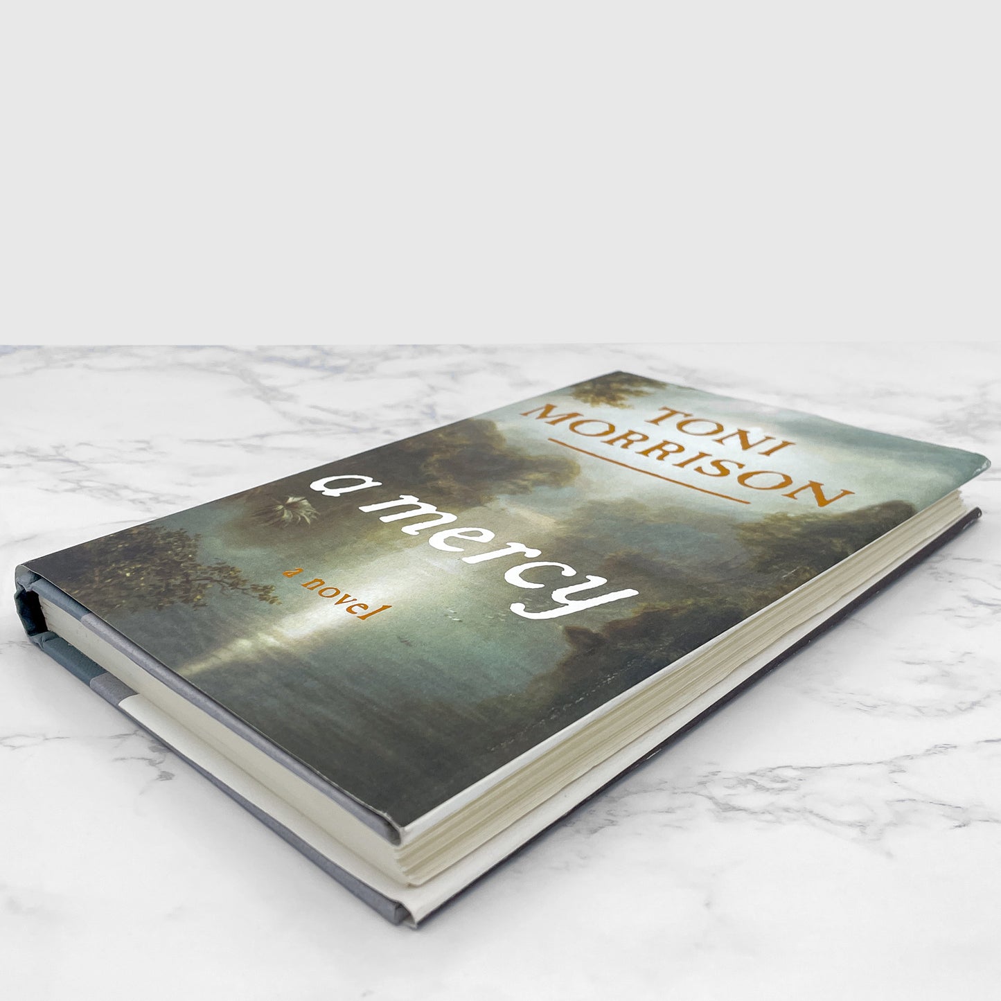 A Mercy by Toni Morrison [FIRST EDITION] 2008 • Knopf