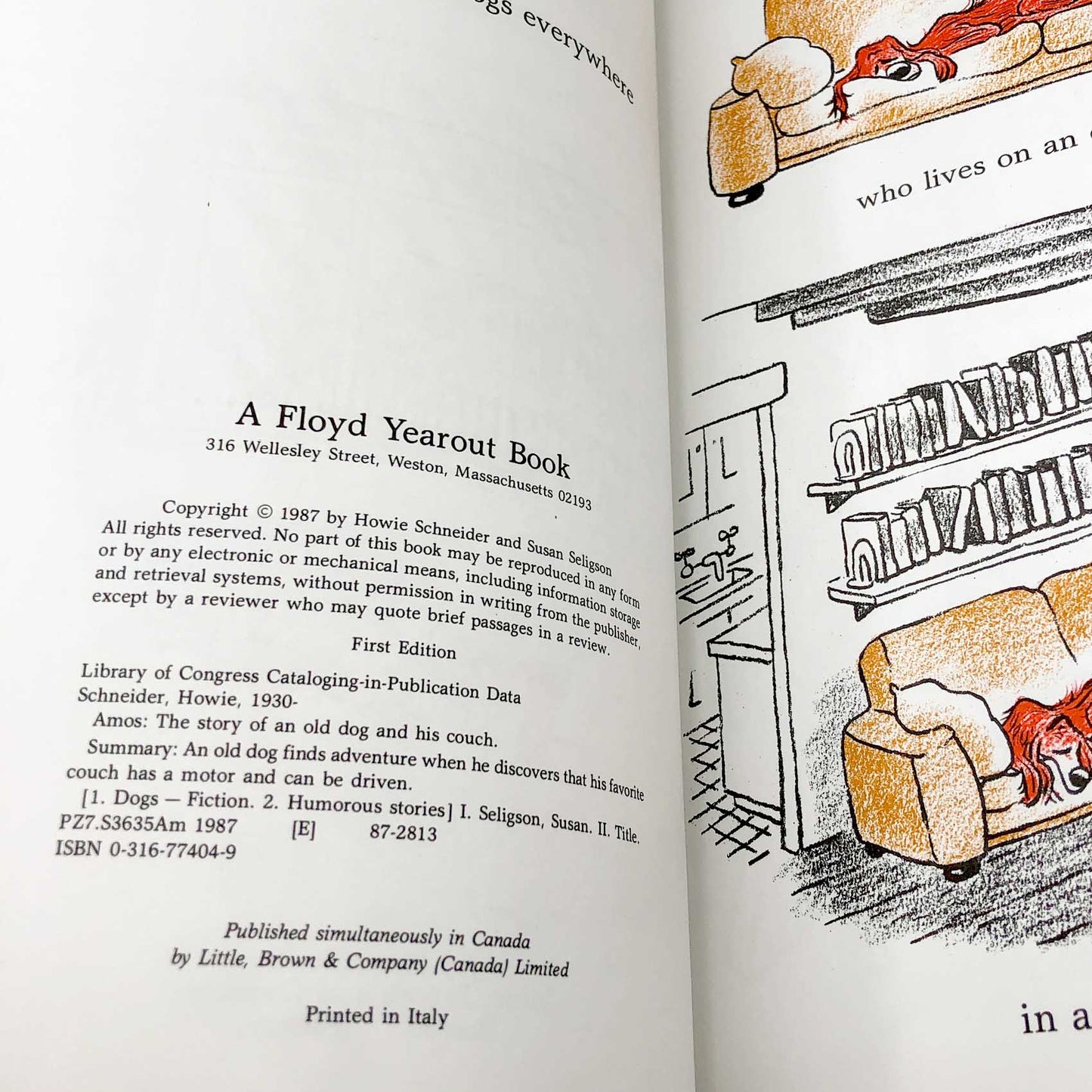 Amos: The Story of an Old Dog and His Couch by Susan Seligson & Howie Schneider [FIRST EDITION] 1987 • Little Brown & Co.