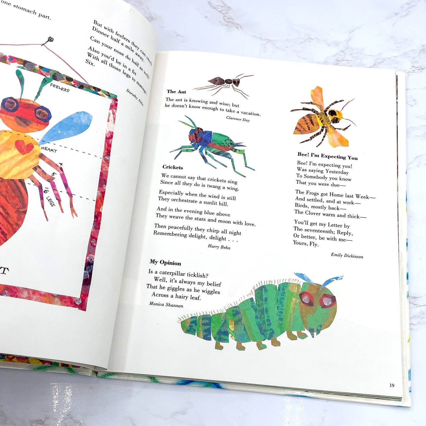 Animals Animals by Eric Carle [FIRST EDITION] 1989 • Philomel Books