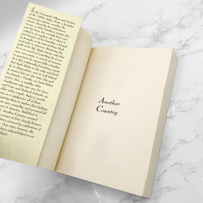 Another Country by James Baldwin [DELUXE TRADE PAPERBACK] 1994 • Griot