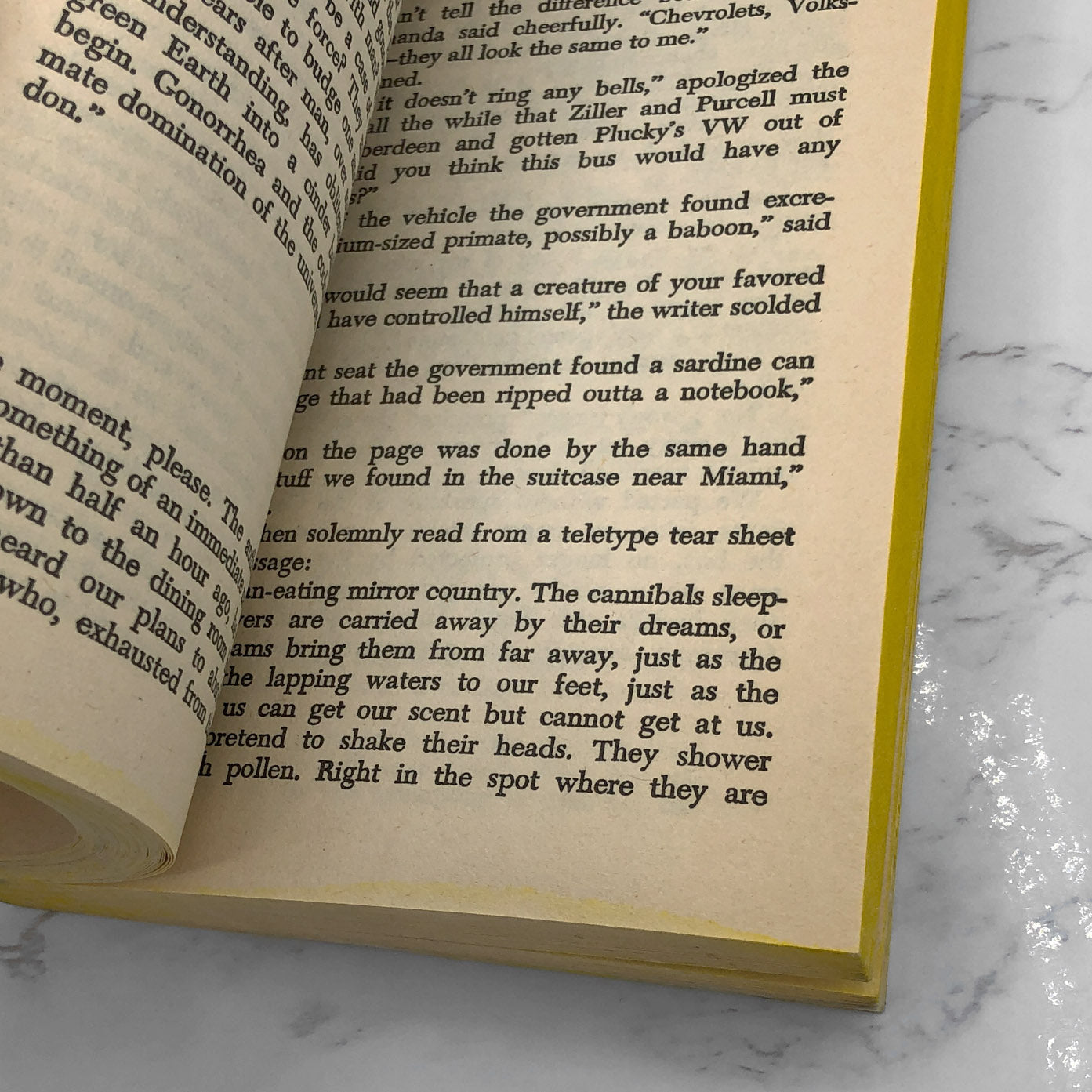 Another Roadside Attraction by Tom Robbins [1977 PAPERBACK] • Ballantine