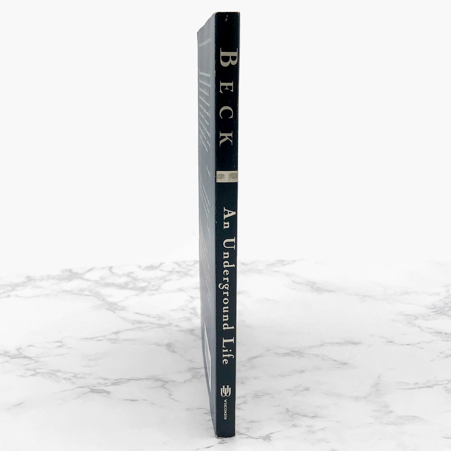 An Underground Life: Memoirs of a Gay Jew in Nazi Berlin by Gad Beck [FIRST PAPERBACK EDITION] 1999 • UW