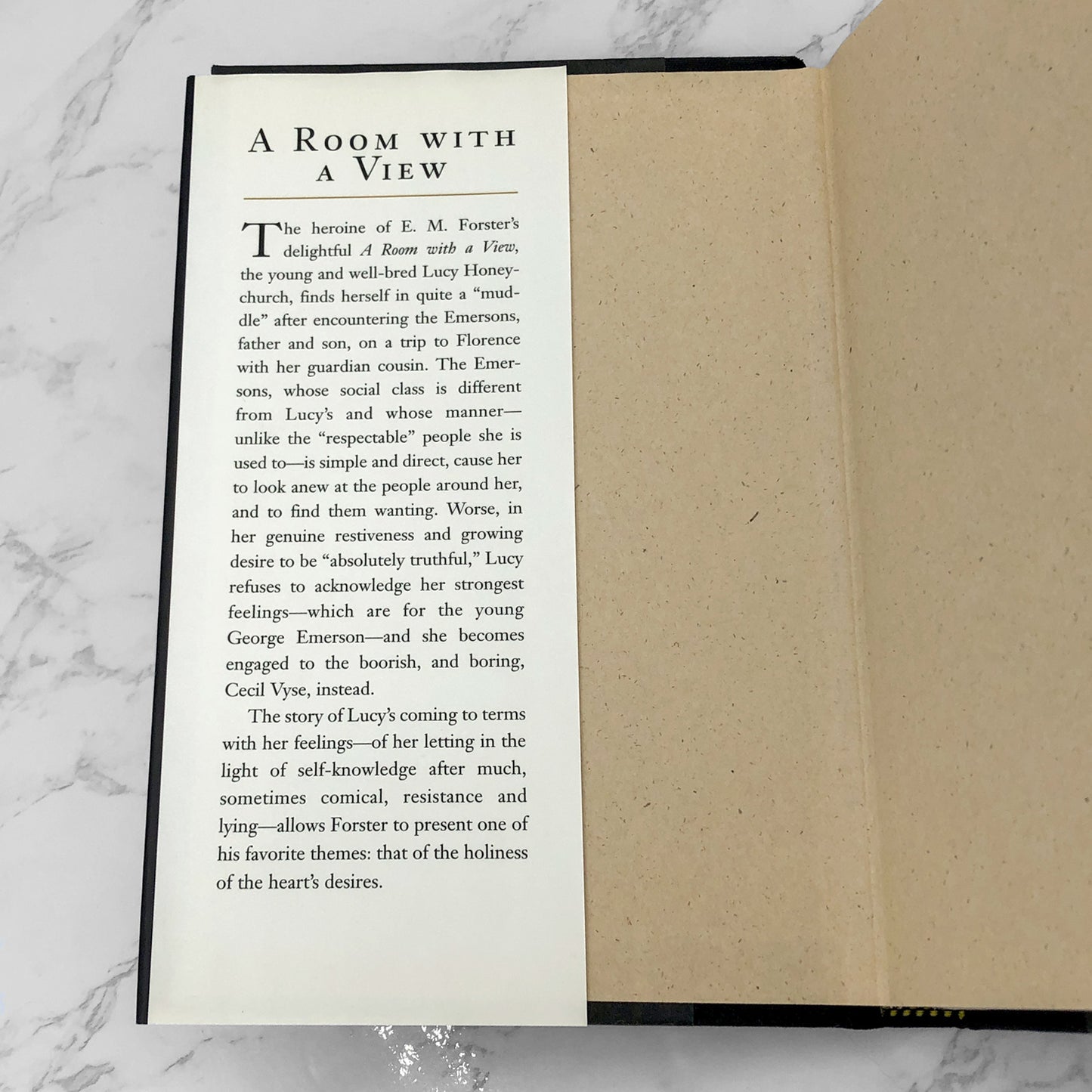 A Room with a View by E.M. Forster [HARDCOVER RE-ISSUE] 1993 *See Condition