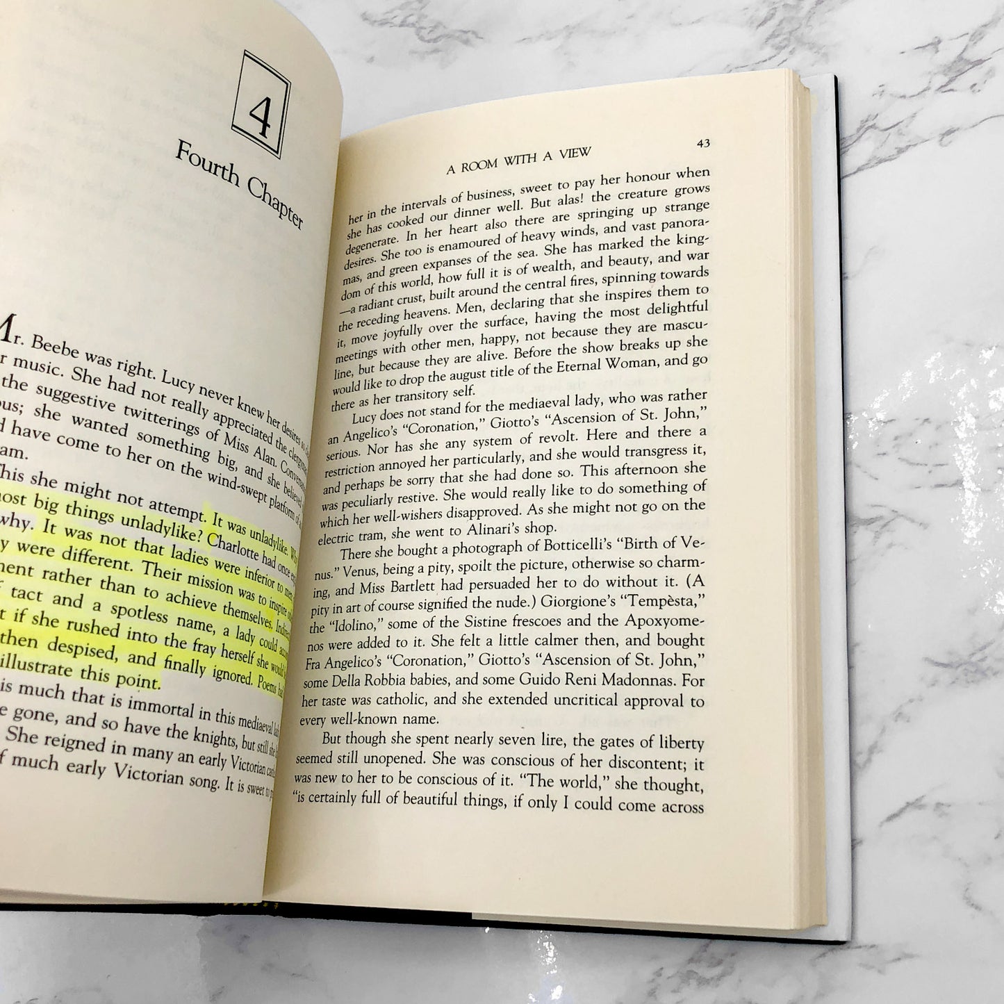 A Room with a View by E.M. Forster [HARDCOVER RE-ISSUE] 1993 *See Condition