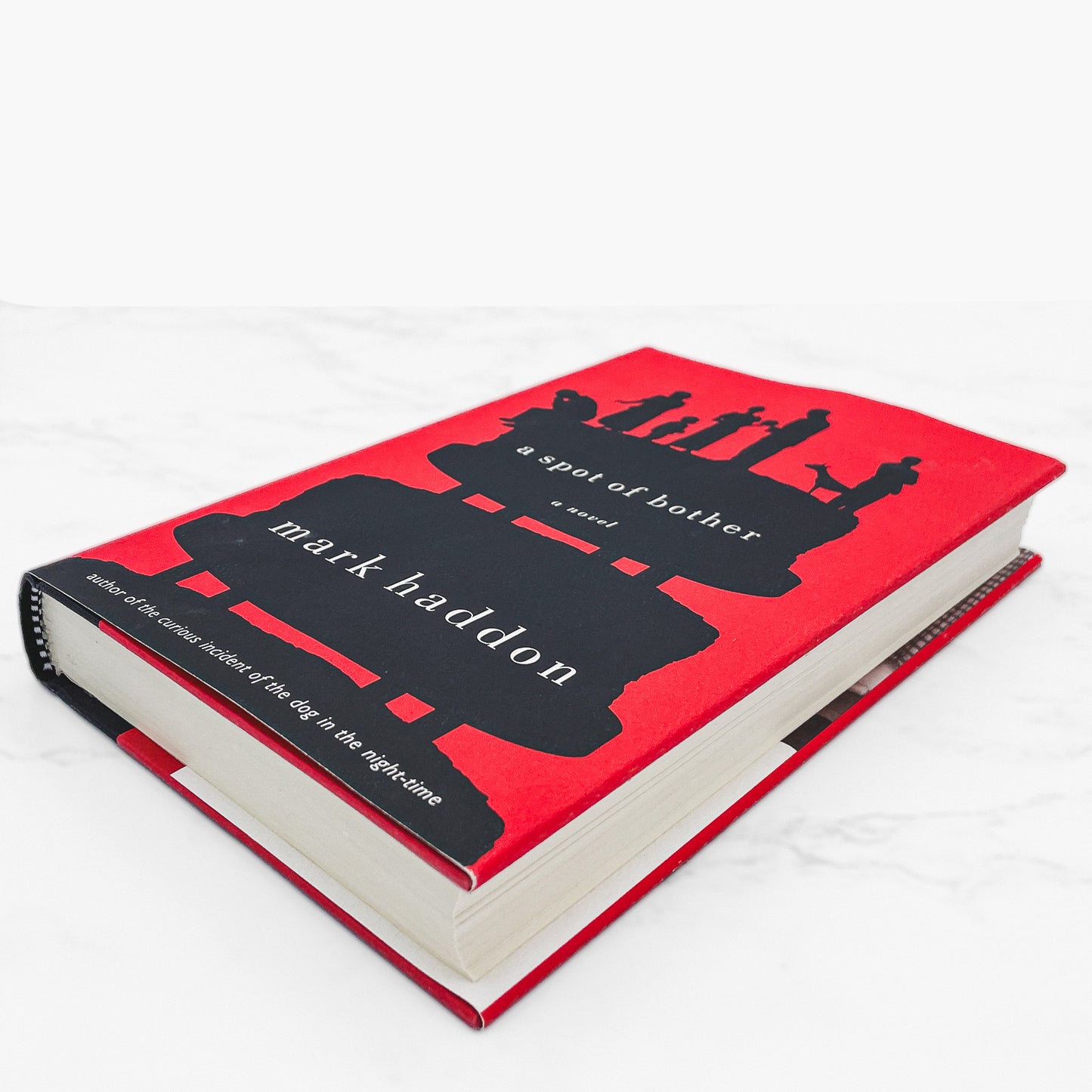 A Spot of Bother by Mark Haddon [FIRST EDITION • FIRST PRINTING] 2006