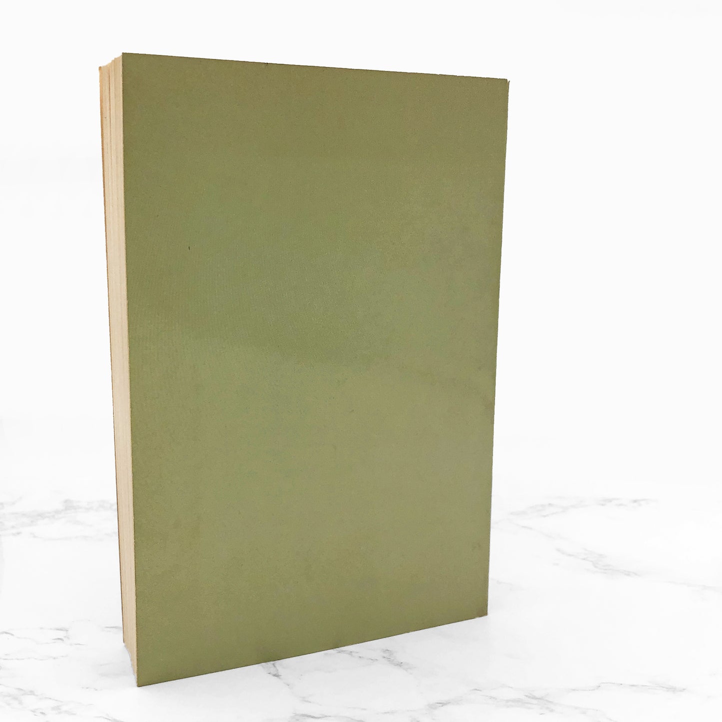 Aunt Julia and the Scriptwriter by Mario Vargas Llosa [FIRST U.S. PAPERBACK PRINTING] 1982 • Farrar Straus Giroux