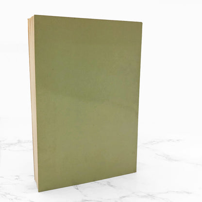 Aunt Julia and the Scriptwriter by Mario Vargas Llosa [FIRST U.S. PAPERBACK PRINTING] 1982 • Farrar Straus Giroux