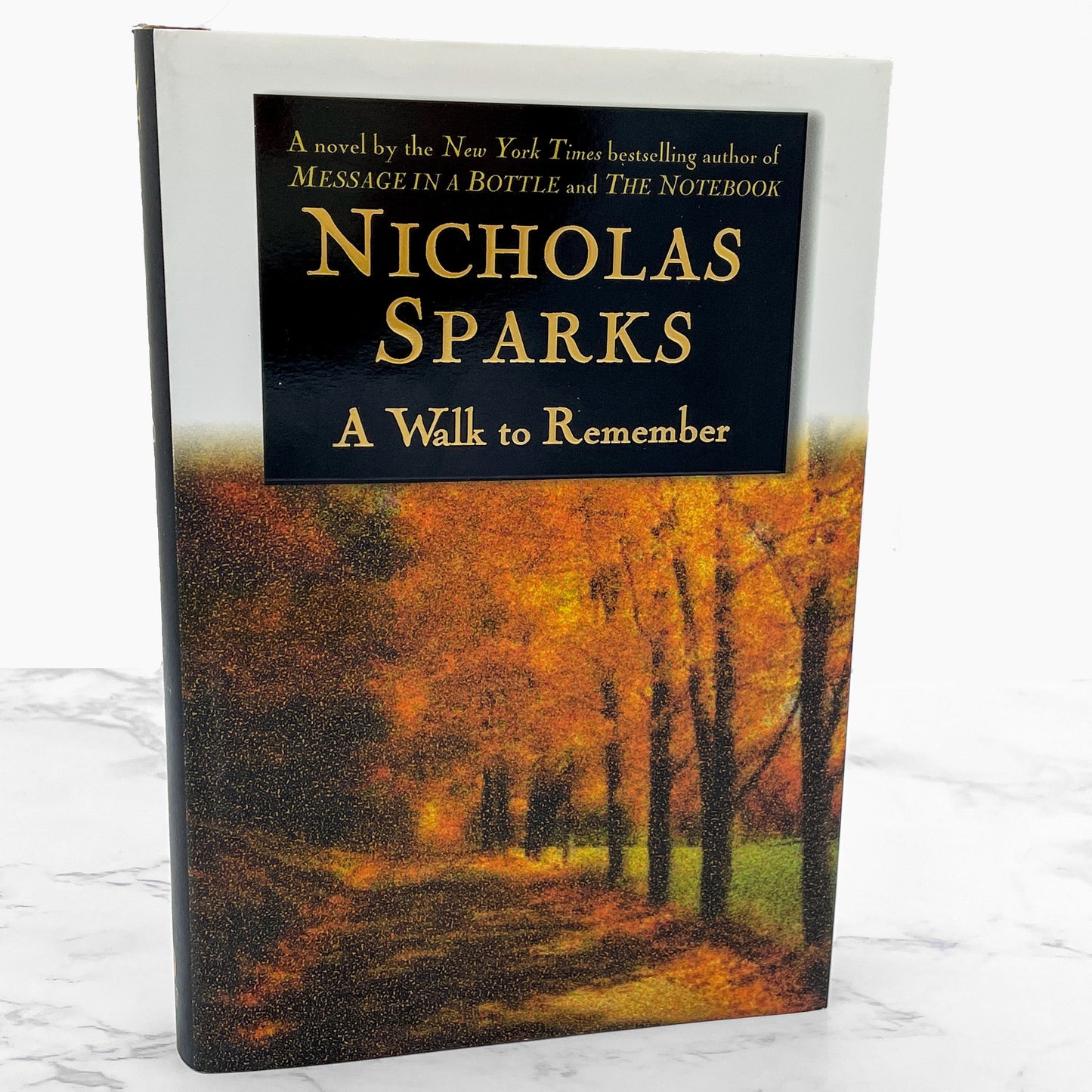 A Walk to Remember by Nicholas Sparks [FIRST EDITION • FIRST PRINTING] 1999 • Warner