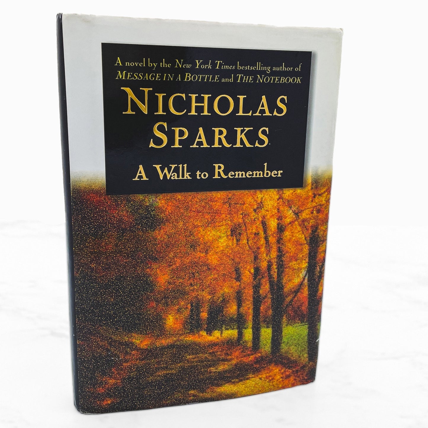A Walk to Remember by Nicholas Sparks [FIRST EDITION • FIRST PRINTING] 1999 • Warner