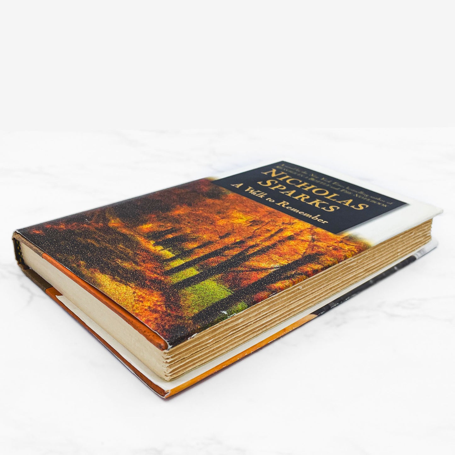 A Walk to Remember by Nicholas Sparks [FIRST EDITION • FIRST PRINTING] 1999 • Warner