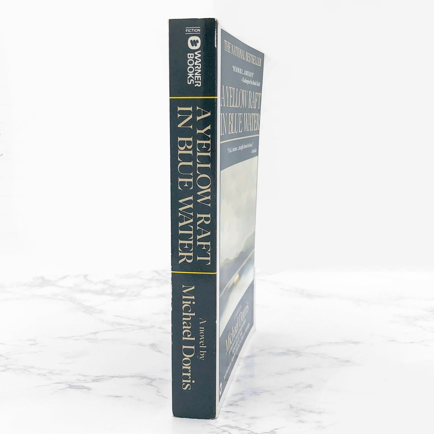 A Yellow Raft in Blue Water by Michael Dorris [FIRST PAPERBACK EDITION] 1988 • Warner Books