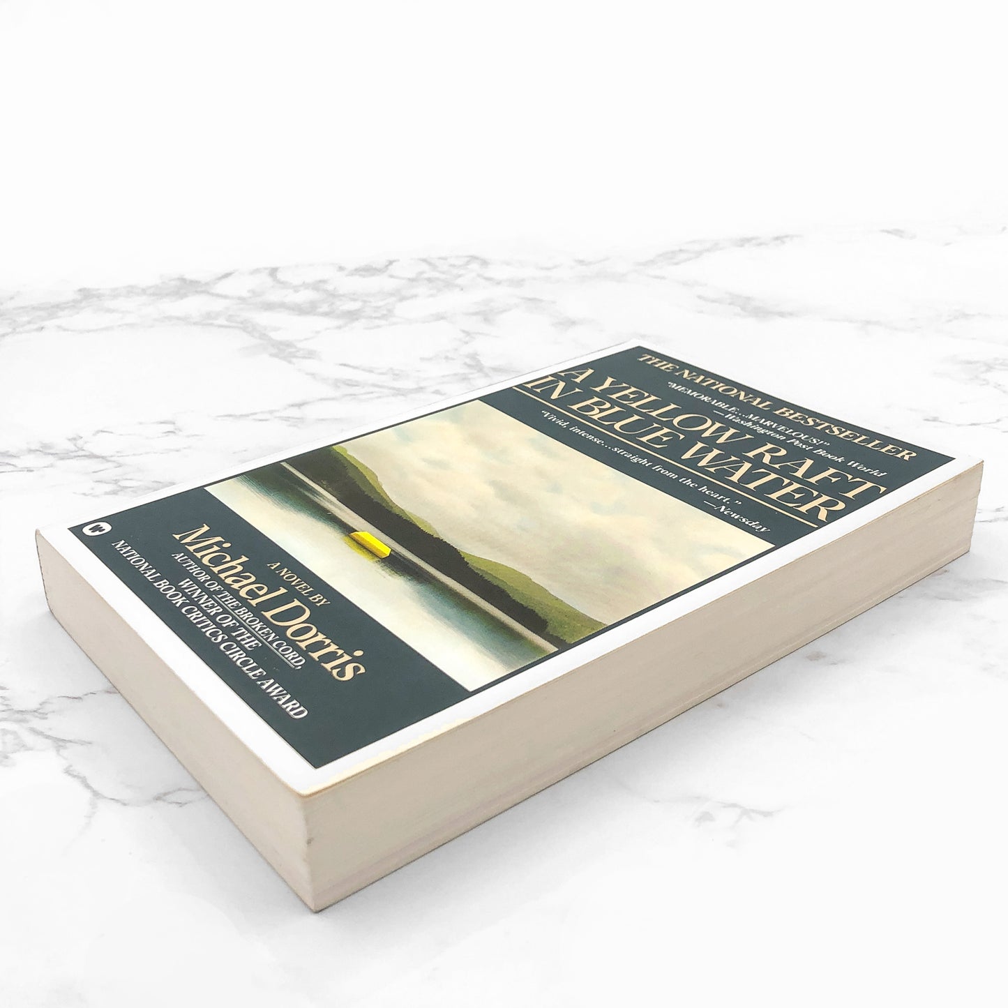 A Yellow Raft in Blue Water by Michael Dorris [FIRST PAPERBACK EDITION] 1988 • Warner Books