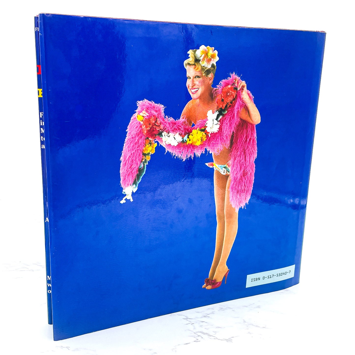 The Saga of Baby Divine by Bette Midler illustrated by Todd Schorr [FIRST EDITION] 1983 • Crown