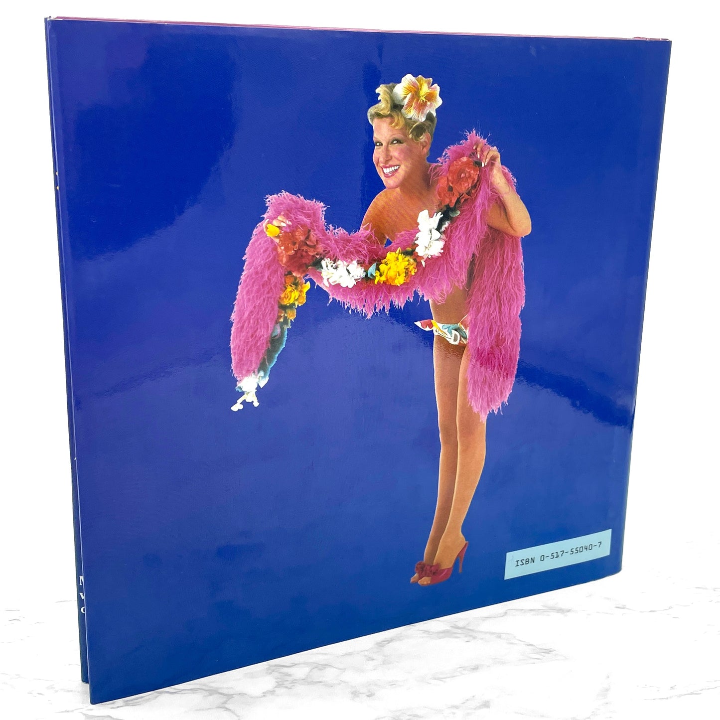 The Saga of Baby Divine by Bette Midler illustrated by Todd Schorr [FIRST EDITION] 1983 • Crown