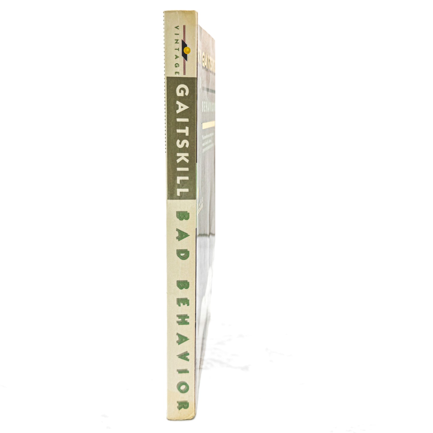 Bad Behavior by Mary Gaitskill [FIRST PAPERBACK PRINTING] 1989 • Vintage Contemporaries
