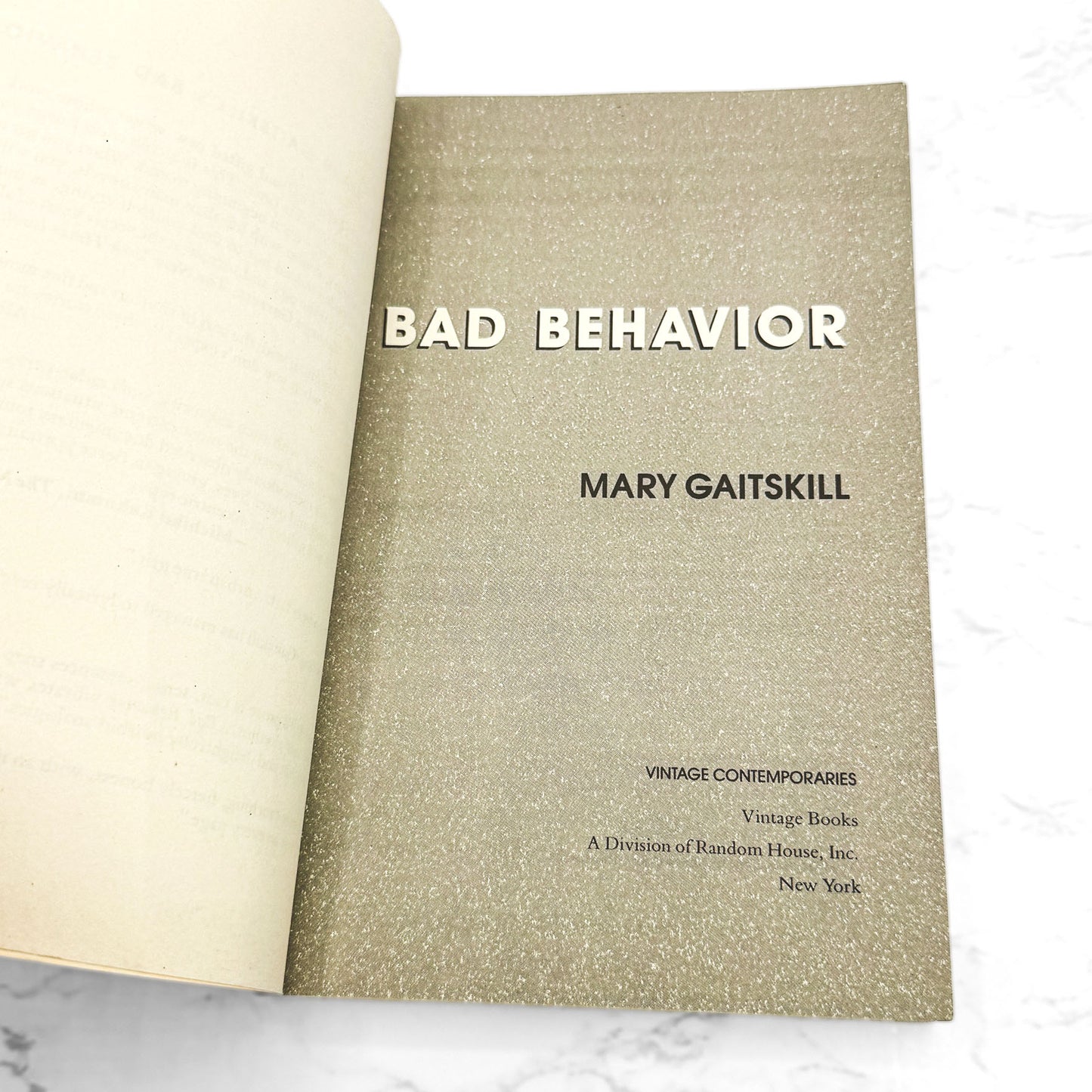 Bad Behavior by Mary Gaitskill [FIRST PAPERBACK PRINTING] 1989 • Vintage Contemporaries