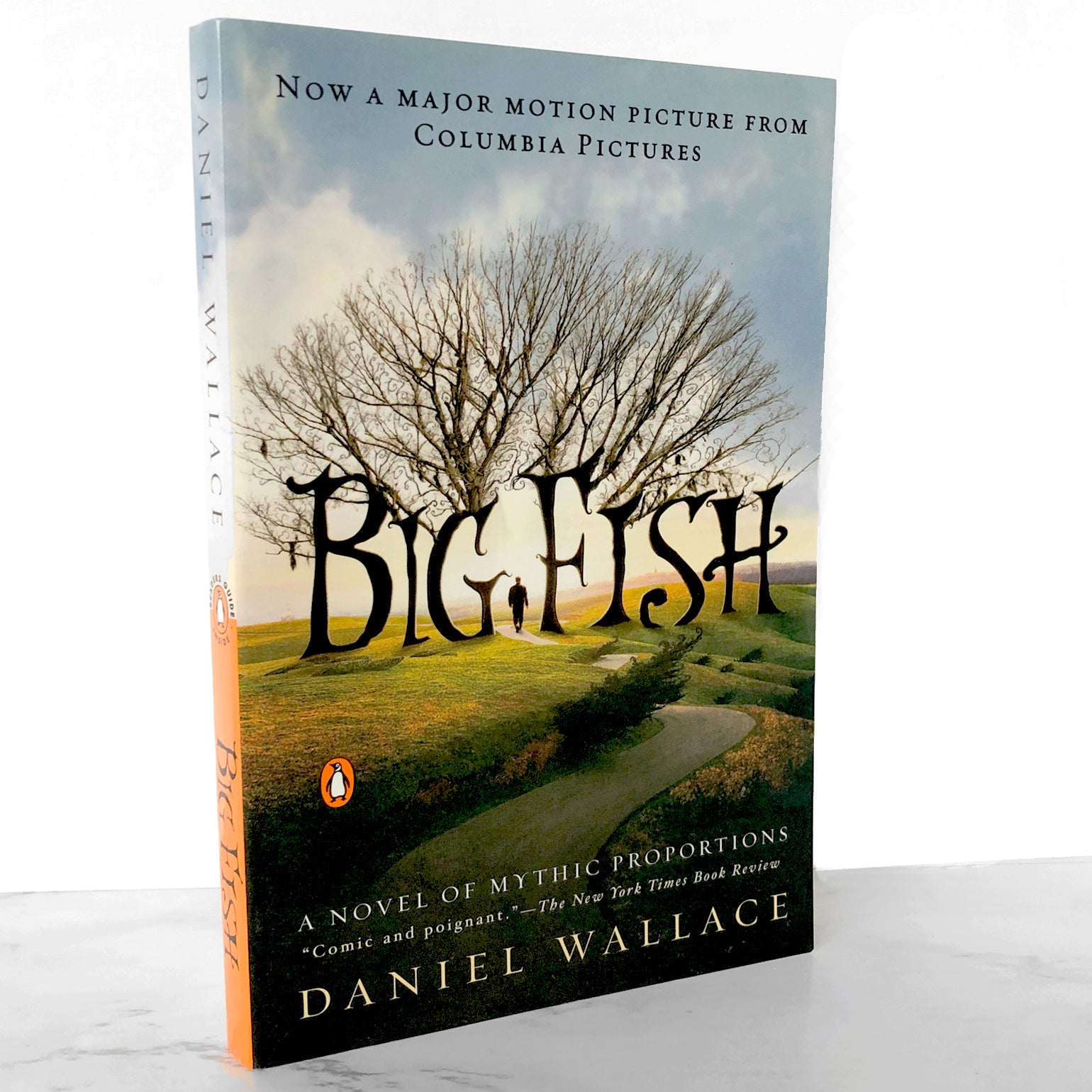 Big Fish: A Novel of Mythic Proportions by Daniel Wallace [TRADE PAPER