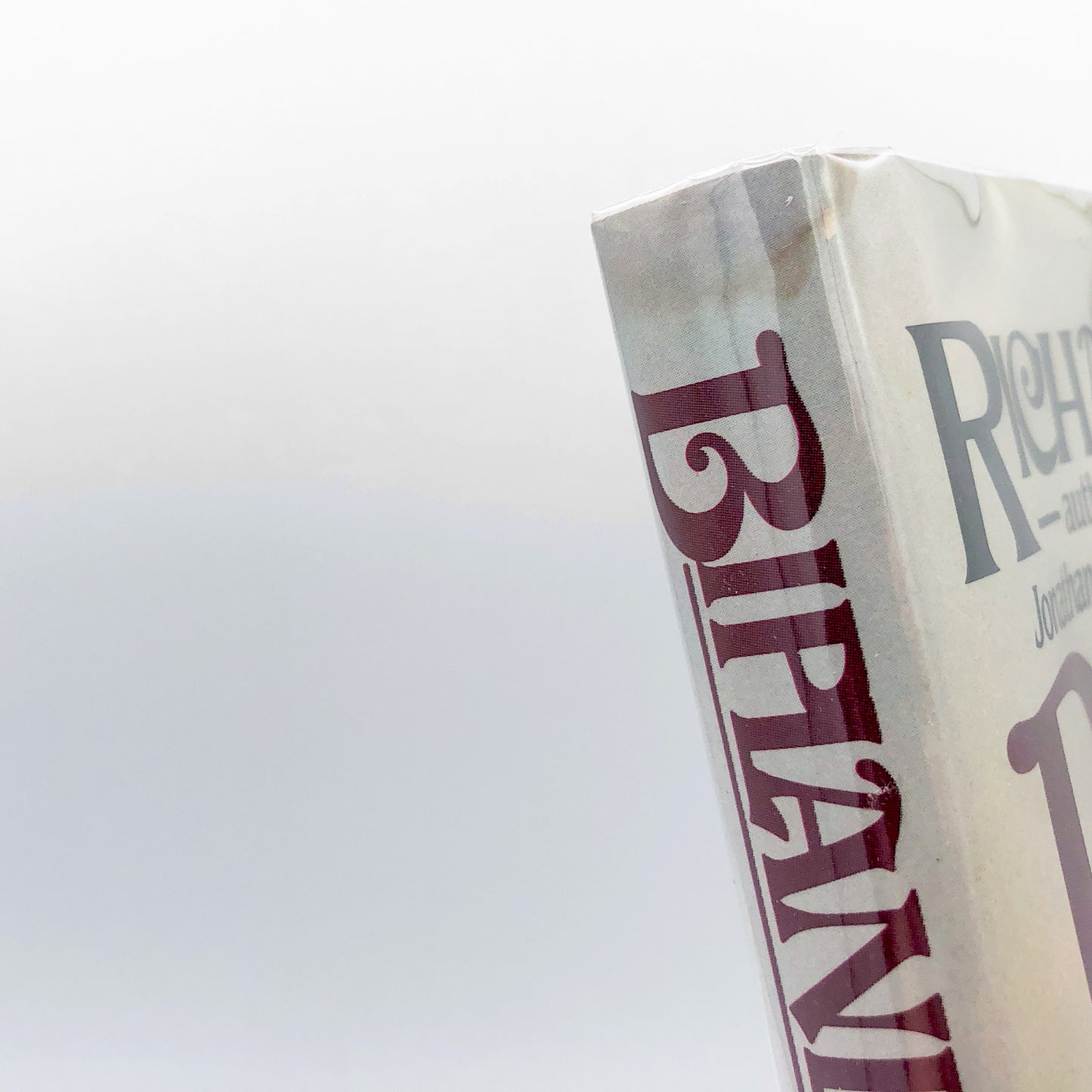 Biplane by Richard Bach [HARDCOVER RE-ISSUE] 1983 • Macmillan