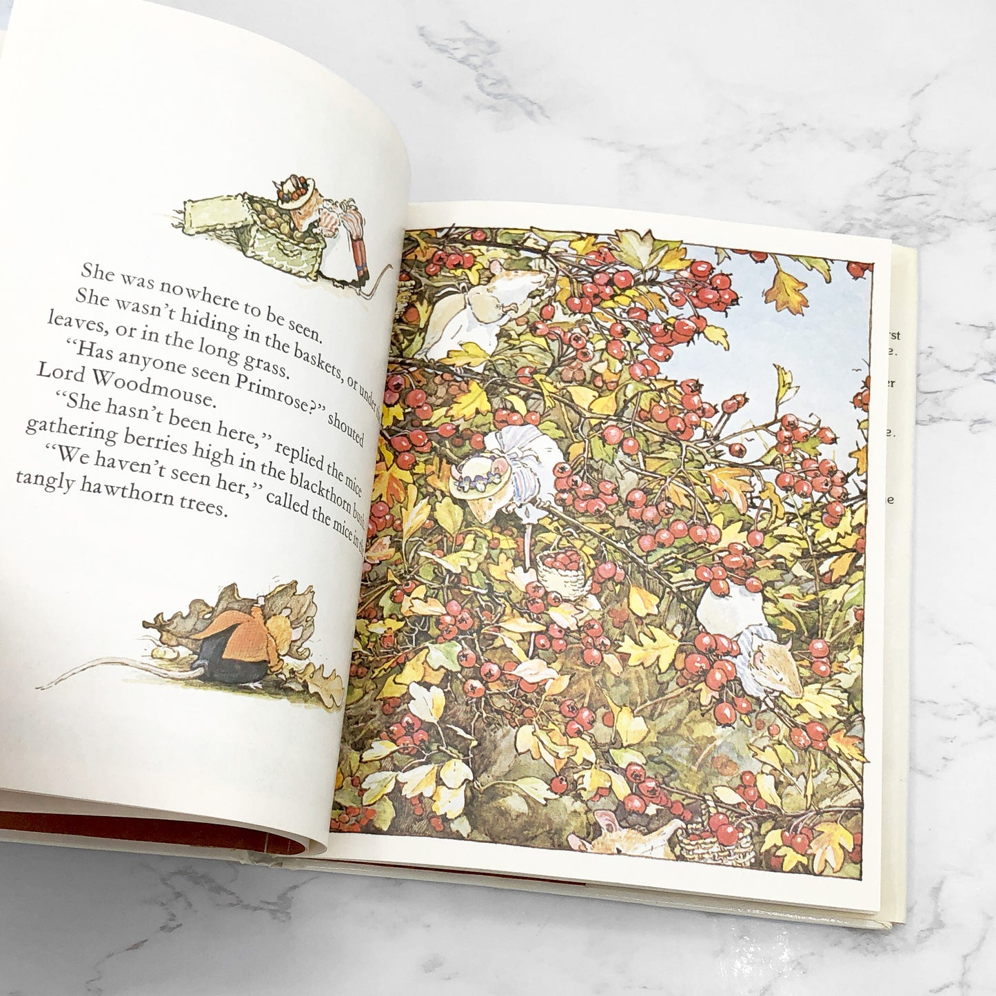 Brambly Hedge #3: Autumn Story by Jill Barklem [U.S. FIRST EDITION] 1980 • Philomel Books
