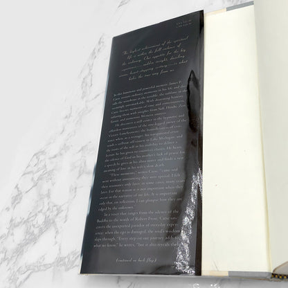 Breakfast at the Victory: The Mysticism of Ordinary Experience by James P. Carse [FIRST EDITION • FIRST PRINTING] 1994