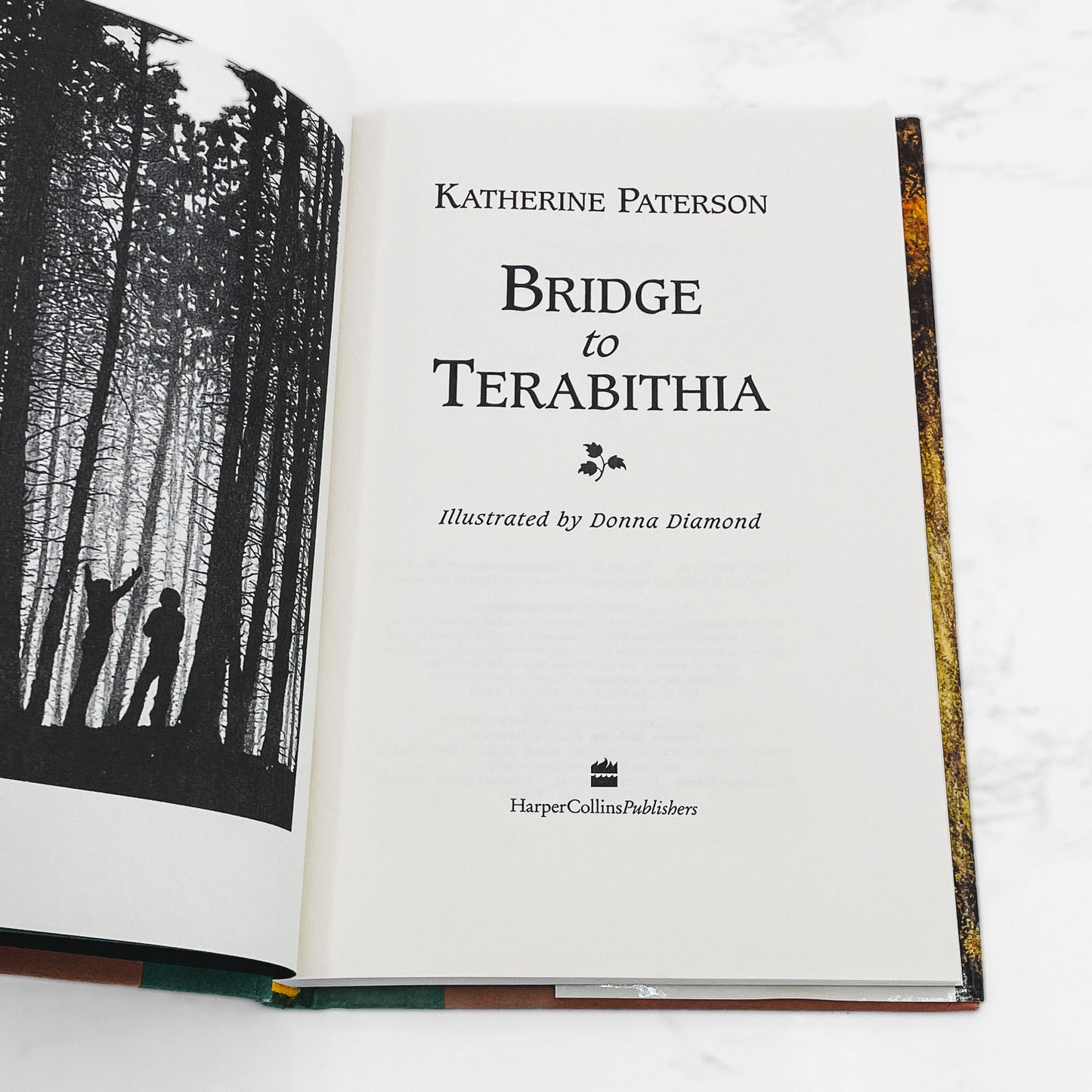 Bridge to Terabithia by Katherine Paterson [HARDCOVER RE-ISSUE] 1995 • HarperCollins