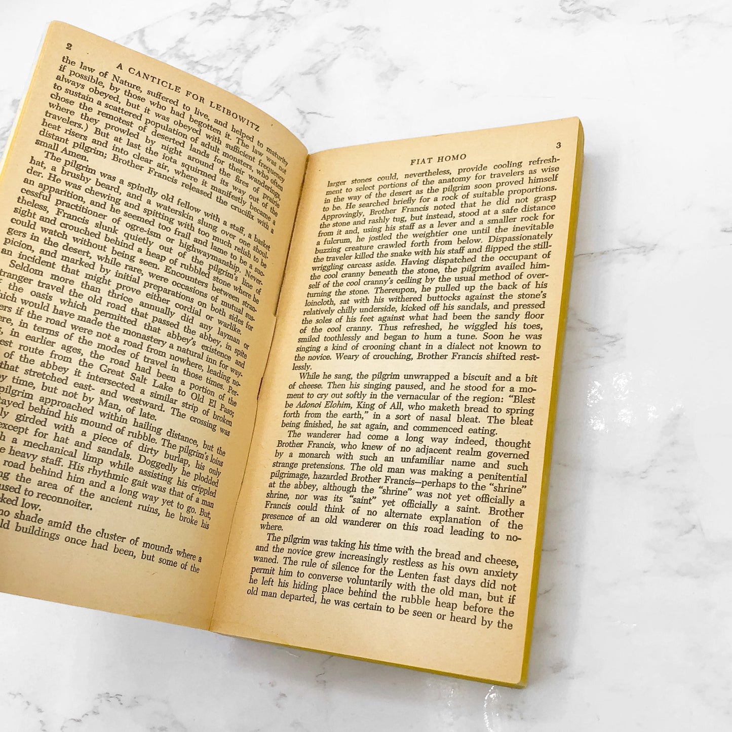 A Canticle for Leibowitz by Walter M. Miller Jr. [1968 PAPERBACK] Bantam Books