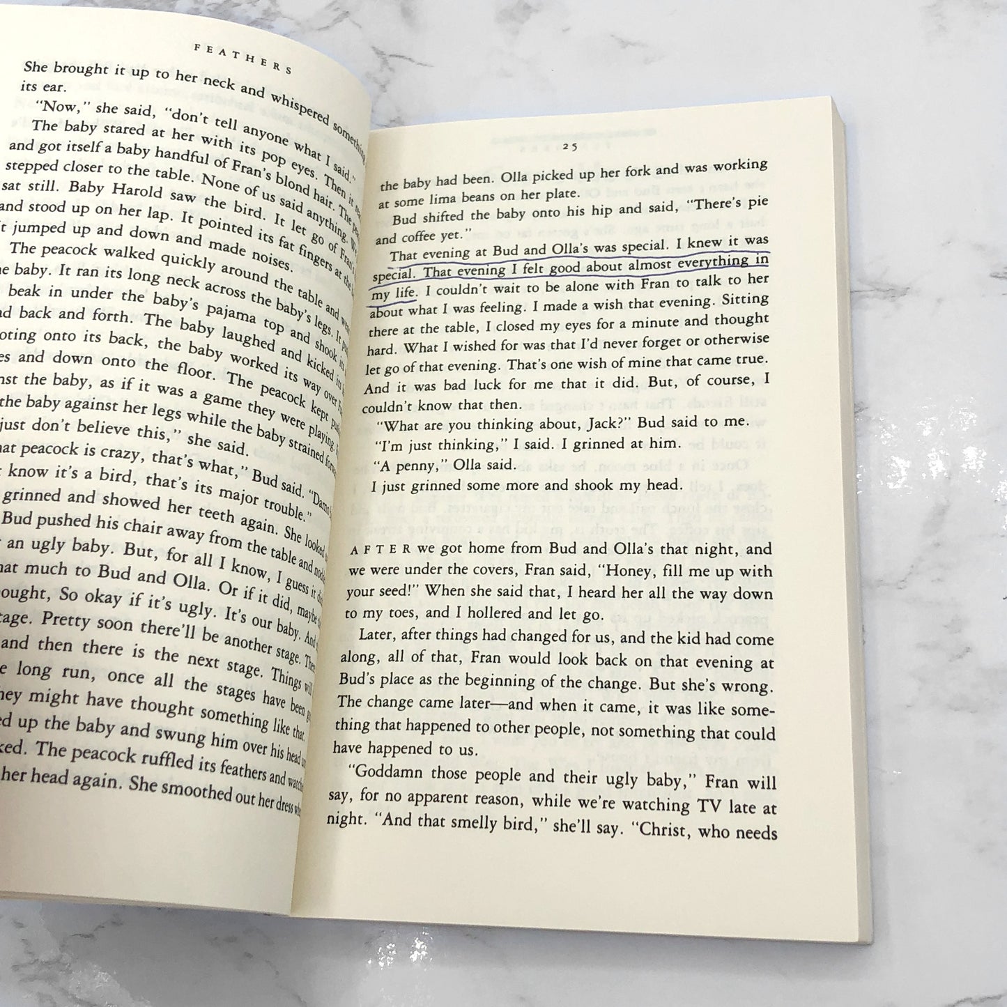 Cathedral by Raymond Carver [TRADE PAPERBACK] 1989 • Vintage *See Condition