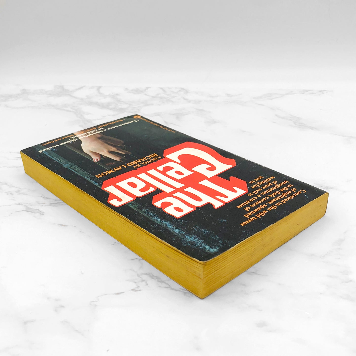 The Cellar by Richard Laymon [FIRST EDITION • FIRST PRINTING] 1980 • Warner Books