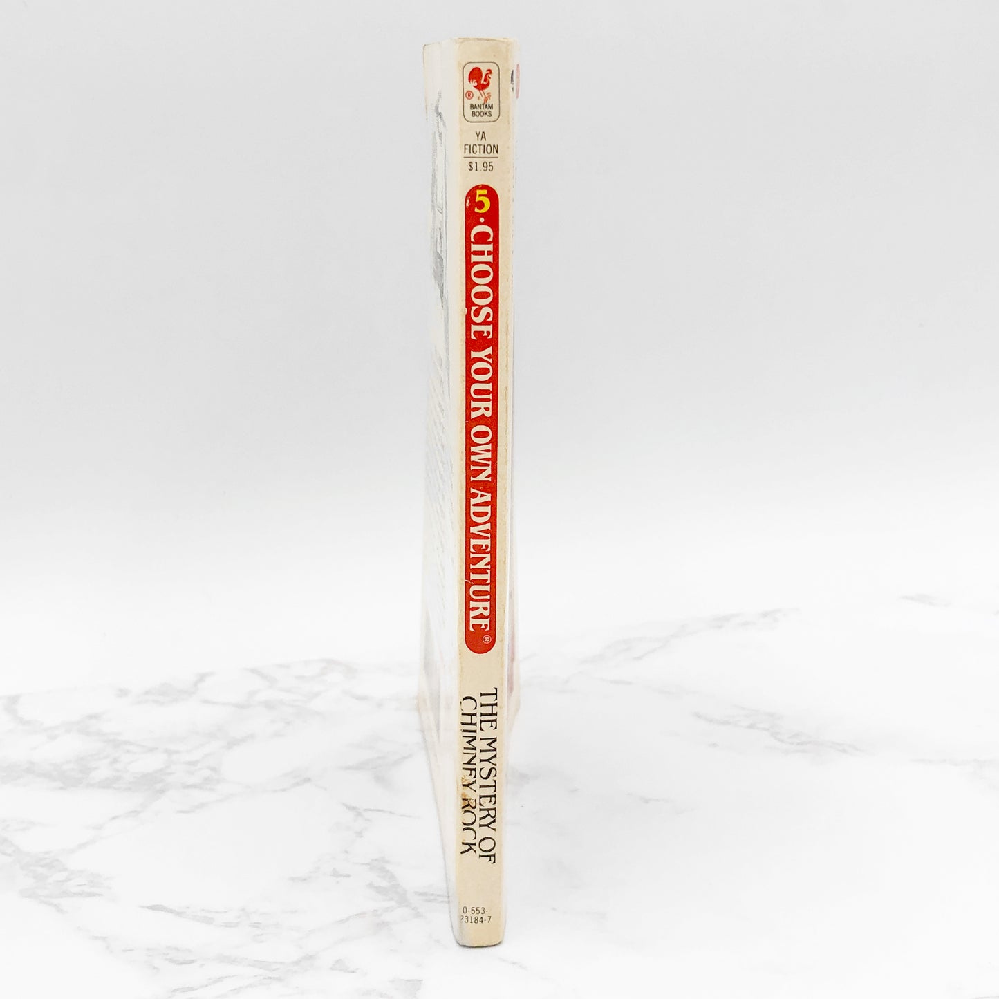 The Mystery of Chimney Rock by Edward Packard [1982 PAPERBACK] Choose Your Own Adventure #5