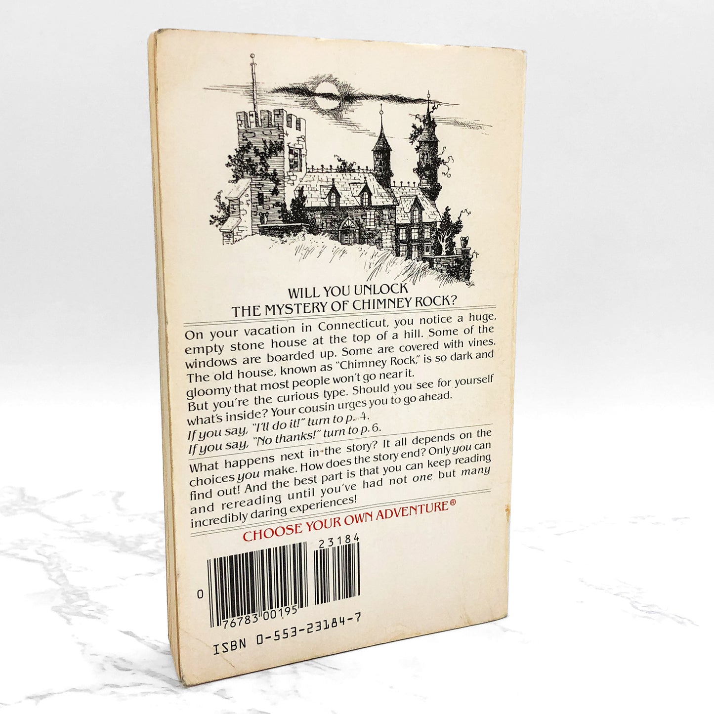 The Mystery of Chimney Rock by Edward Packard [1982 PAPERBACK] Choose Your Own Adventure #5