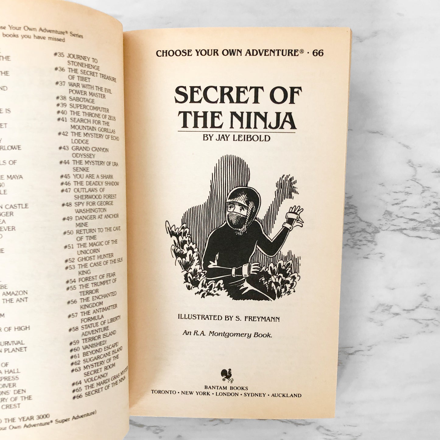 Secret of the Ninja by Jay Leibold [FIRST EDITION PAPERBACK] 1987 • Choose Your Own Adventure #66