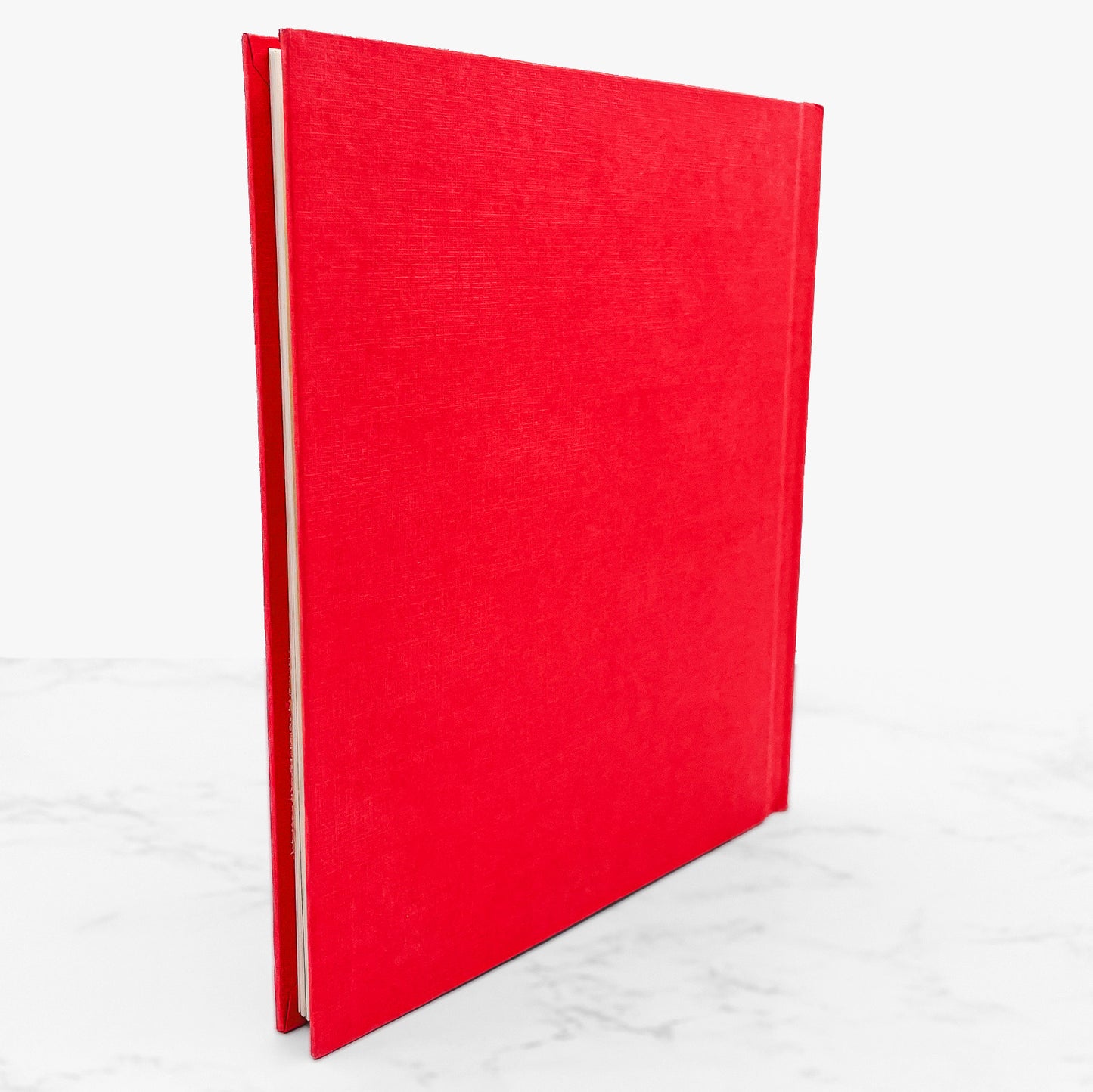 The Christmas Doll by Wendy Mathis Parker [FIRST EDITION] 1979 • Holt, Rinehart & Winston