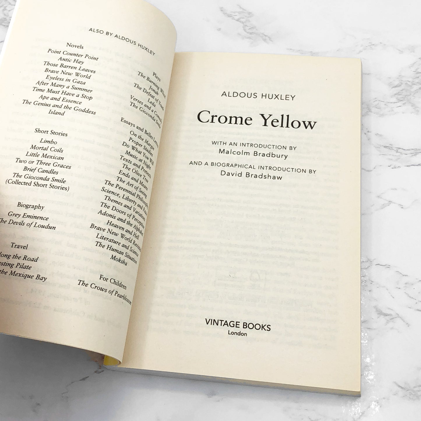 Crome Yellow by Aldous Huxley [U.K. TRADE PAPERBACK] 2004 • Vintage