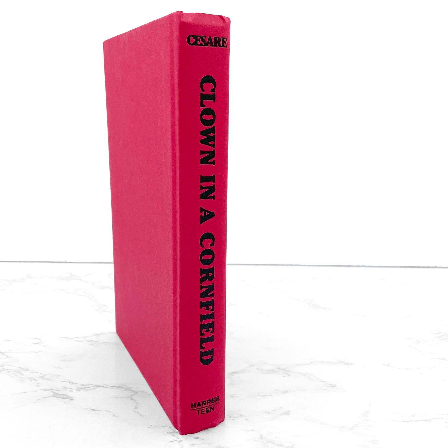 Clown in a Cornfield by Adam Cesare [FIRST EDITION] 2020 • Harper