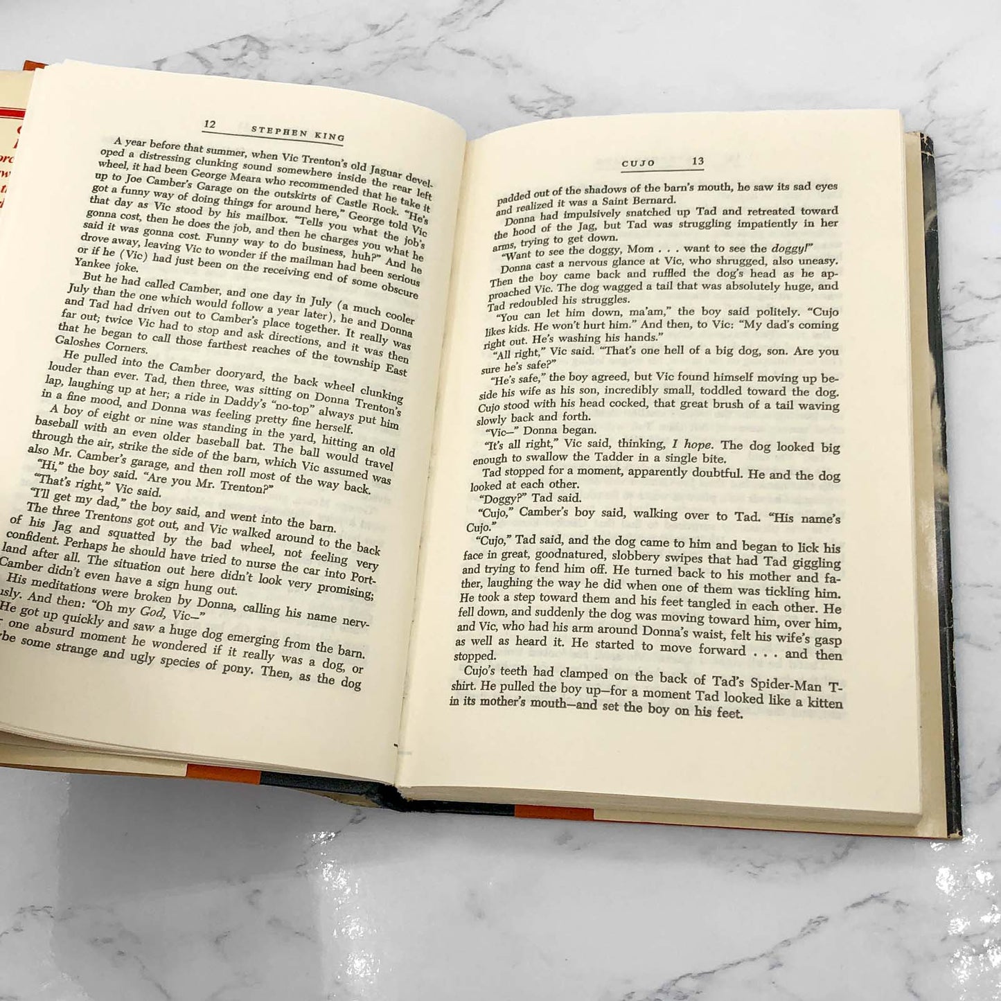 Cujo by Stephen King [BOOK CLUB HARDCOVER] 1981 • The Viking Press