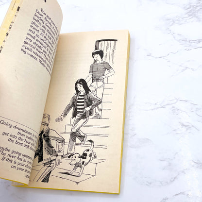 By Balloon to the Sahara [Choose Your Own Adventure #3] by Douglas Terman [FIRST EDITION PAPERBACK] 1981